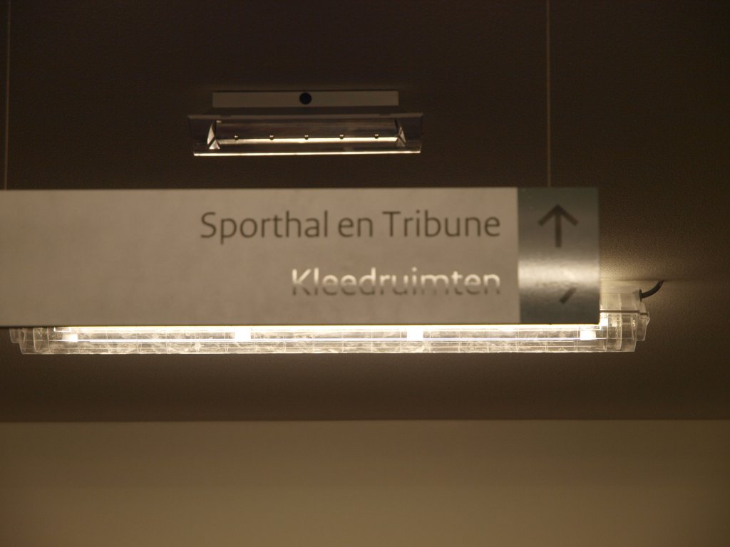 P9136240.jpg